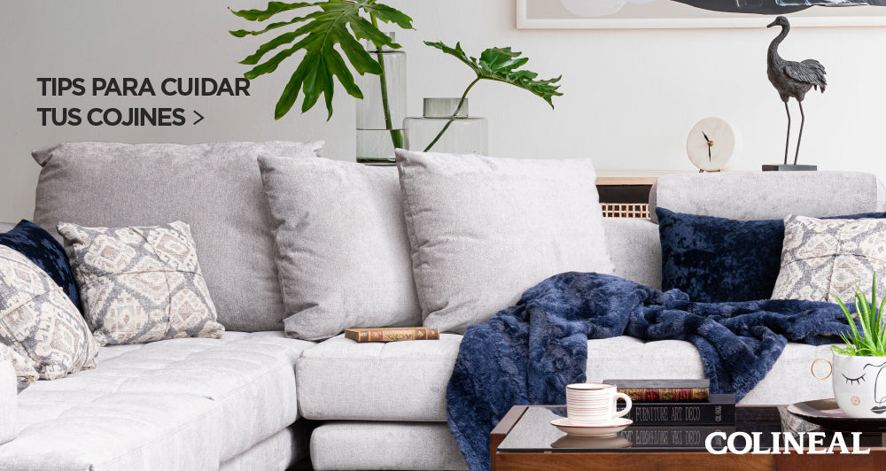 Cómo limpiar la tapicería de tu sofá? Todo lo que necesitas saber