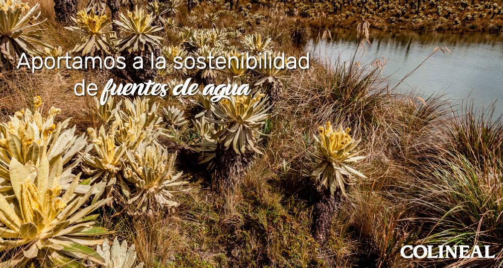 Día mundial del agua