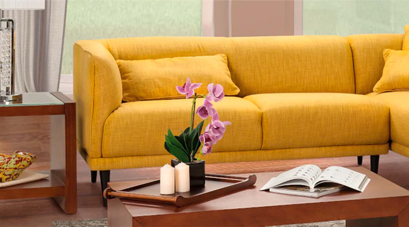 elegir paleta colores sala