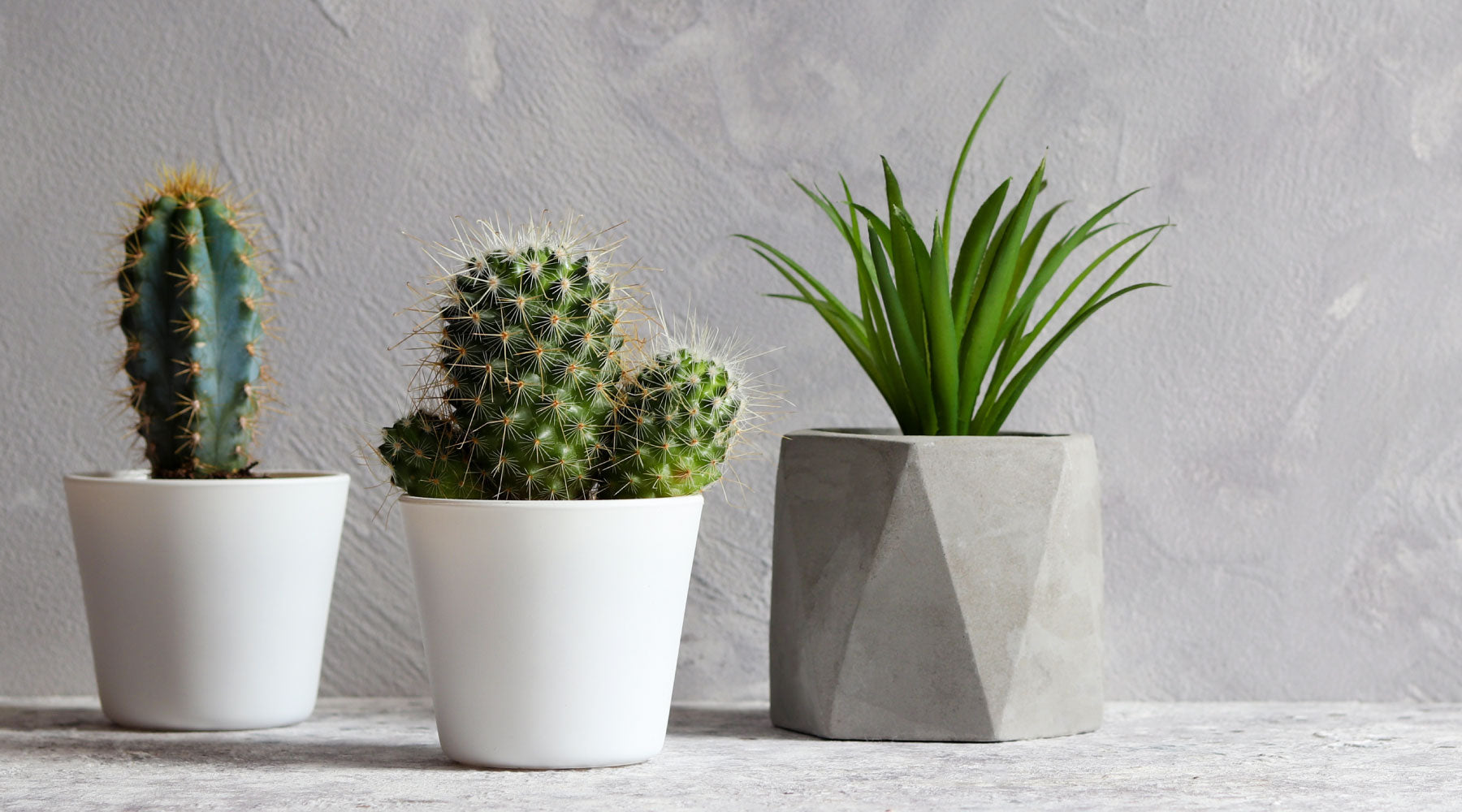 Plantas y Flores artificiales