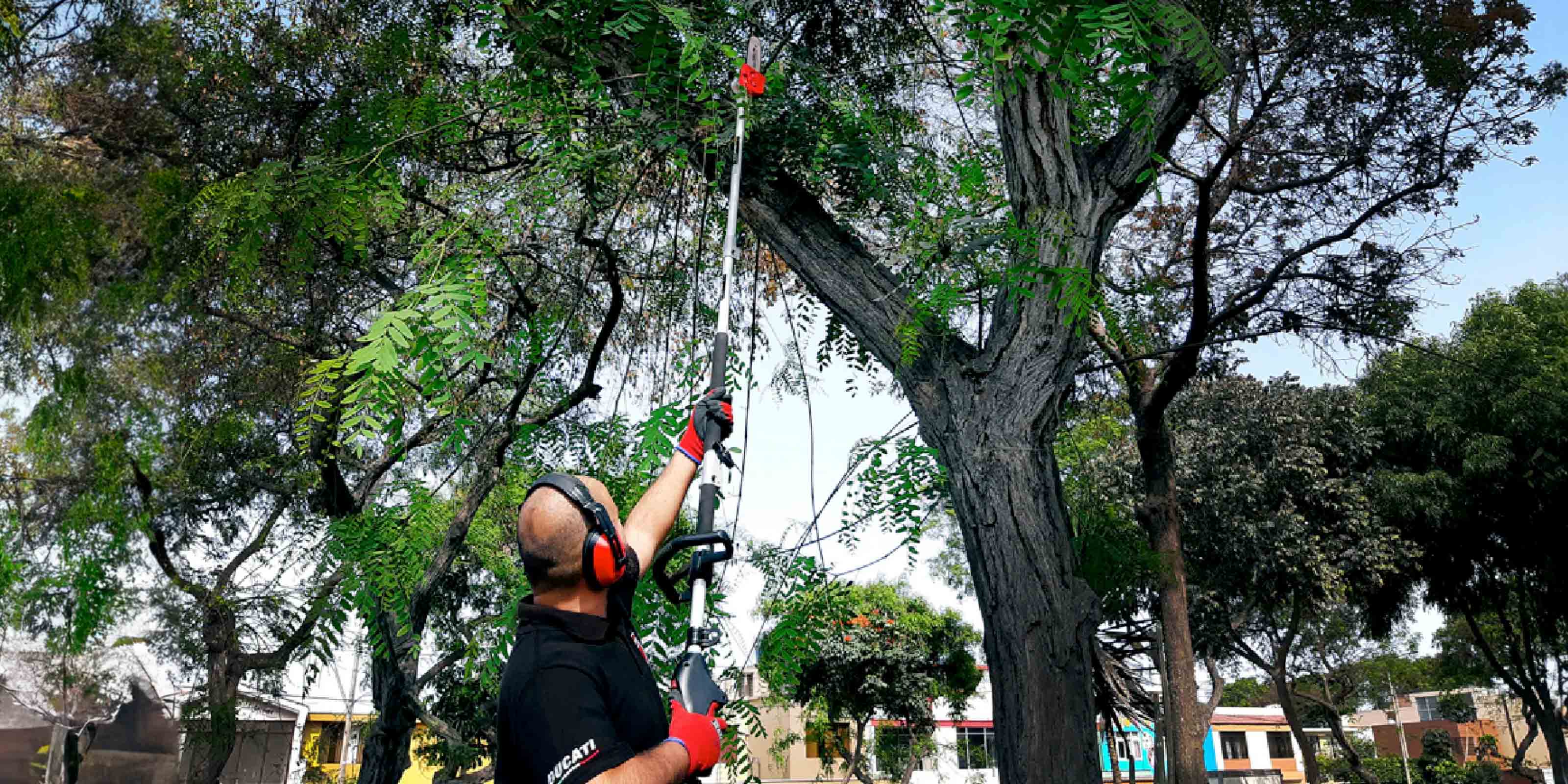 Ducati | Muebles, colchones y accesorios Colineal