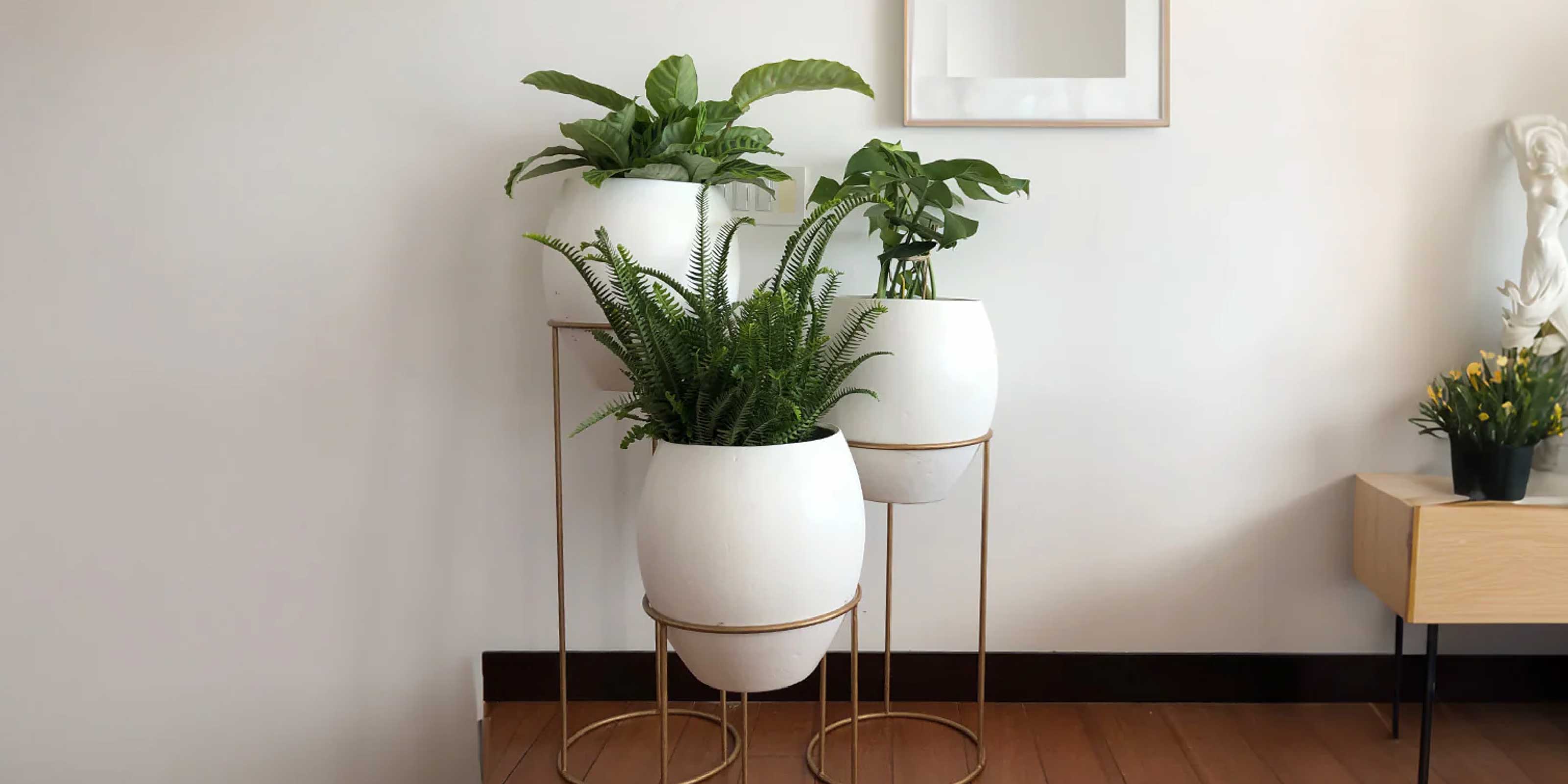 Terra Verde | Muebles, colchones y accesorios Colineal