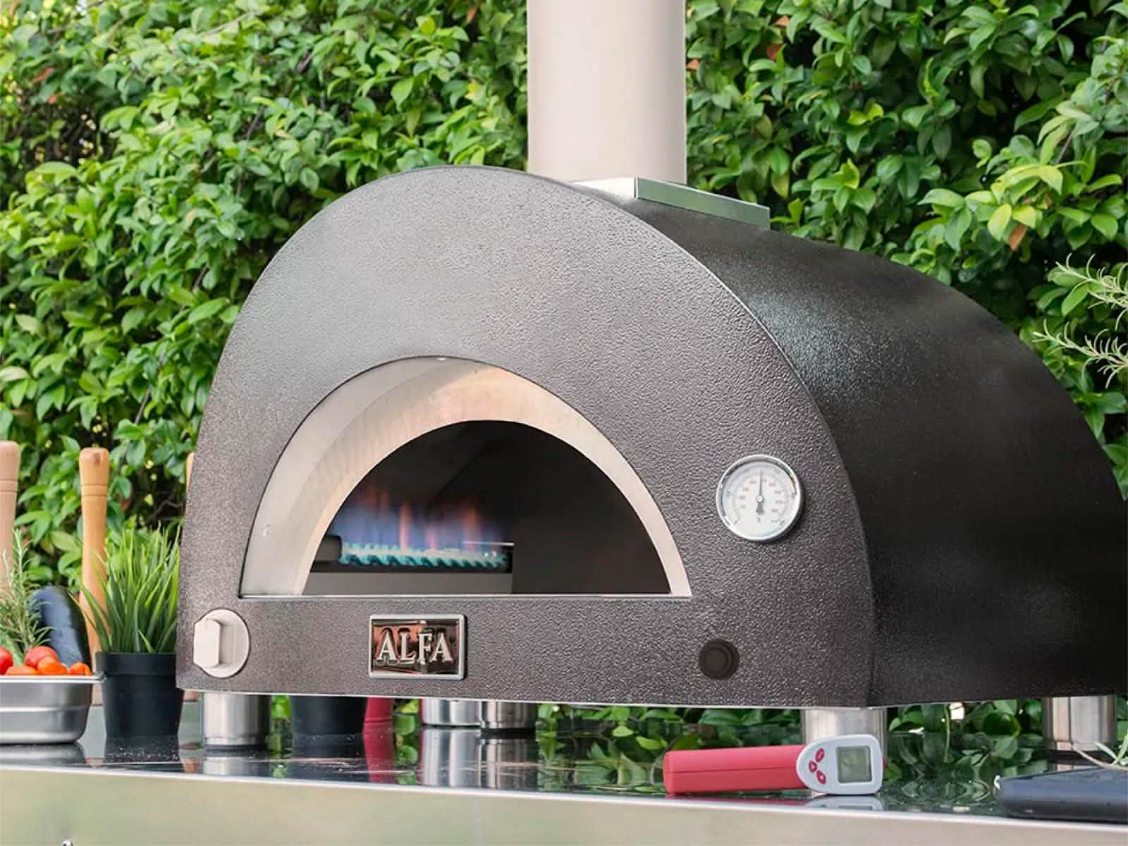 Horno Moderno 1 Pizza a Gas Alfa Forni #Color_Gris