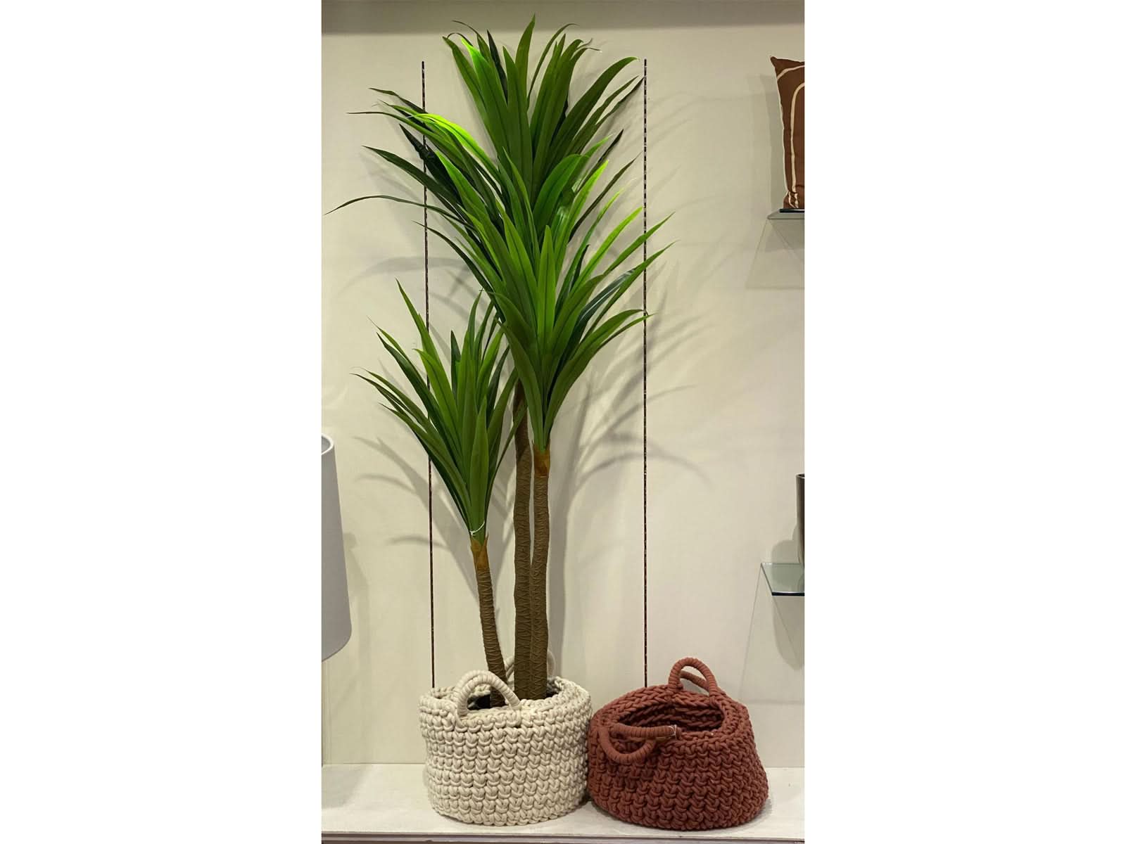 Planta Decorativa 200cm C/Verde