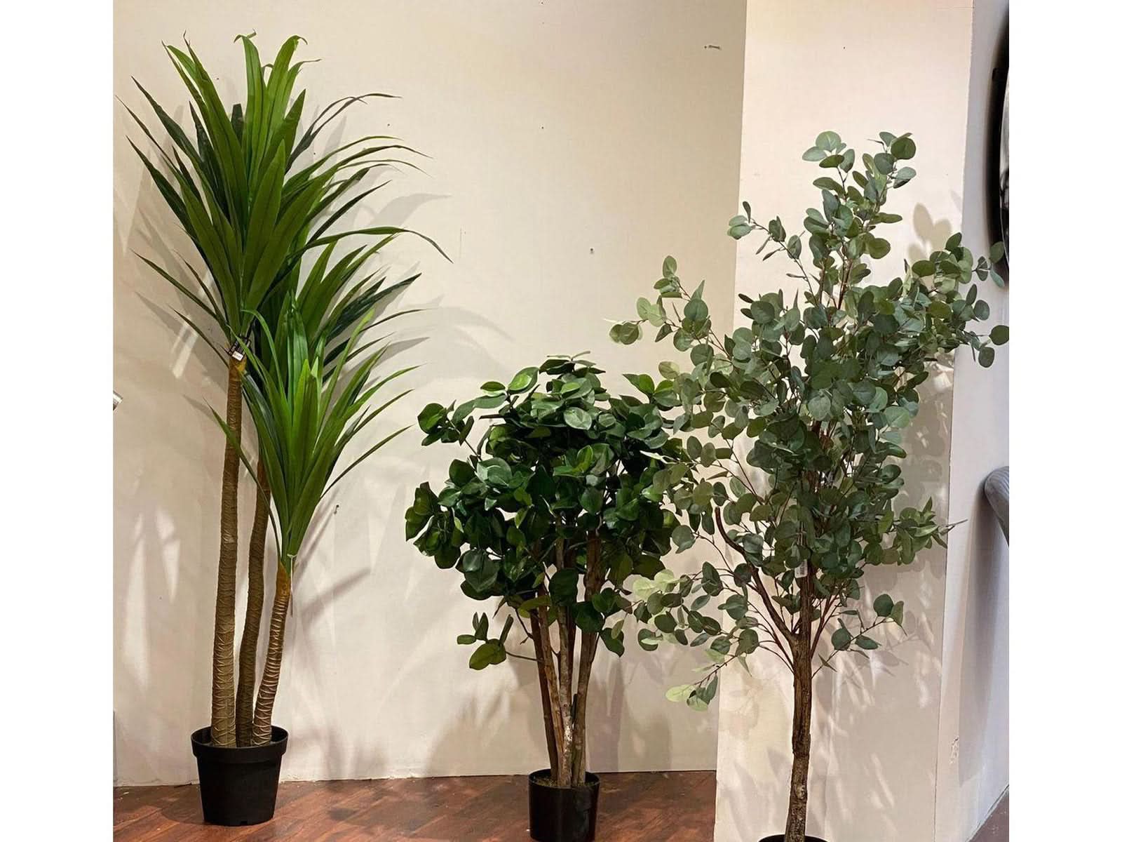 Planta Decorativa 200cm C/Verde