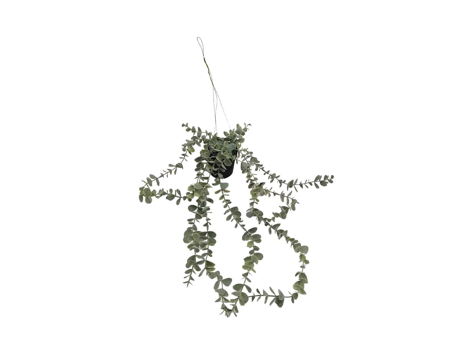 Planta Colgante Decorativa 80Cm Verde