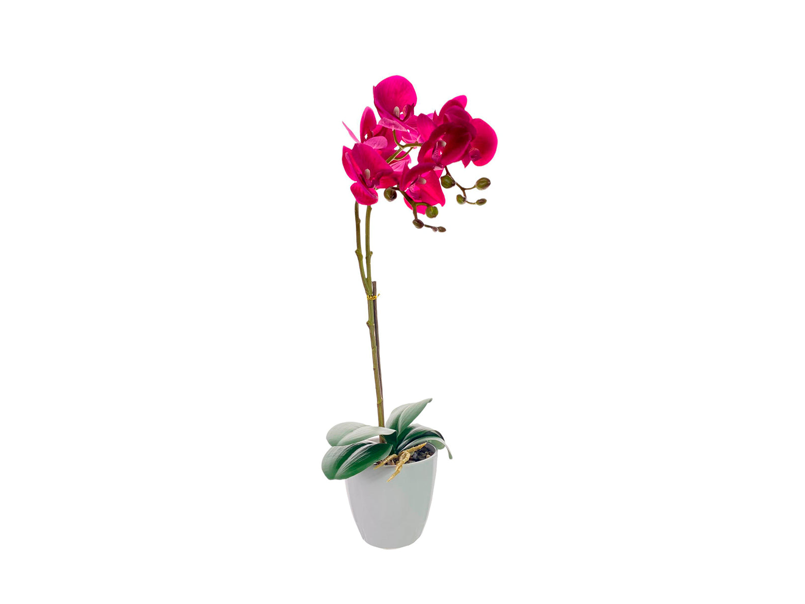 Arreglo Floral Orquídea 50Cm Rosa