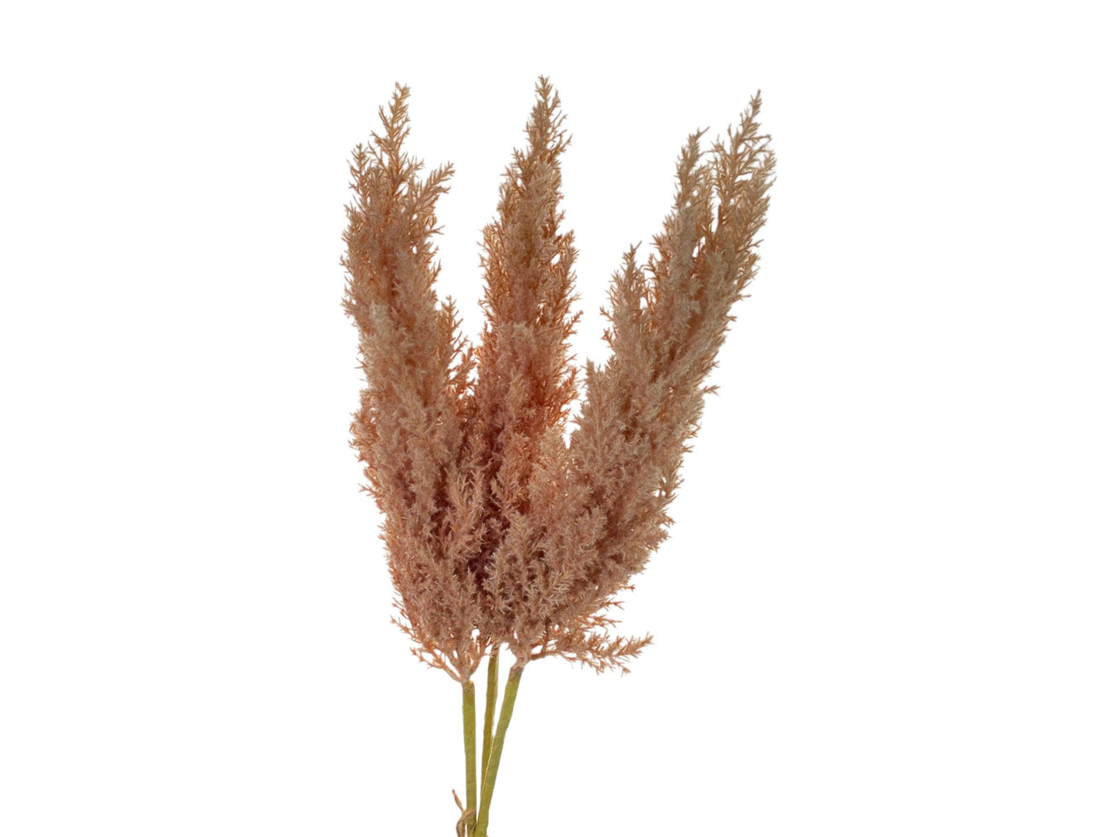 Rama Decorativa 90Cm Rosa