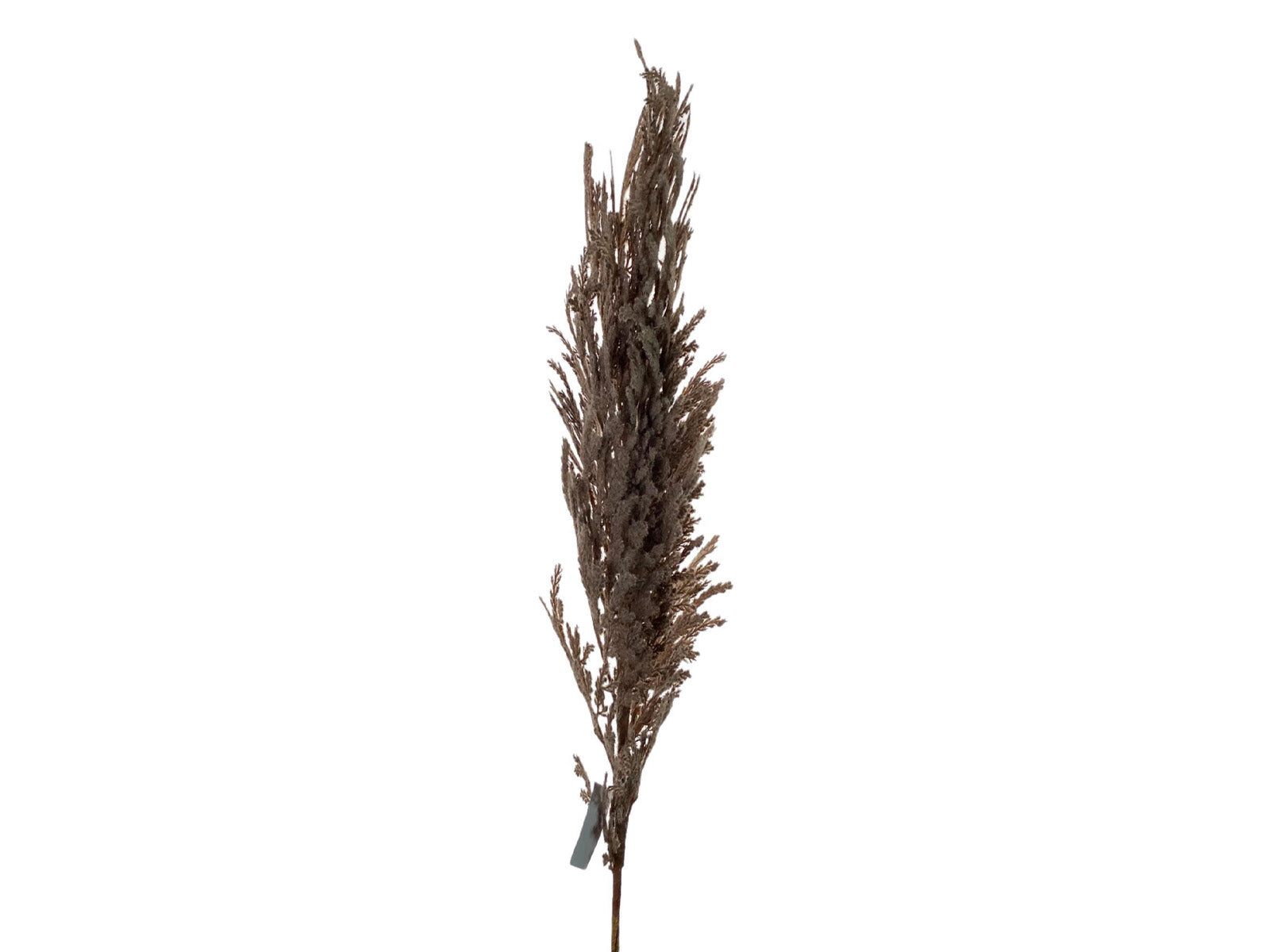 Rama Decorativa 110Cm Café