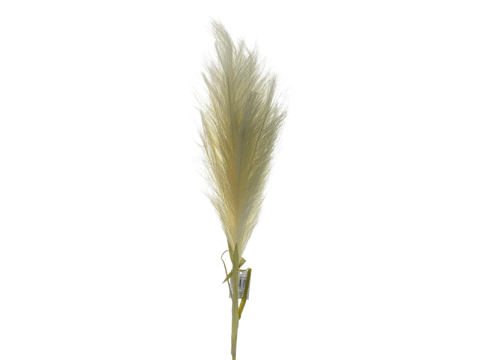 Rama Decorativa 124Cm Blanco