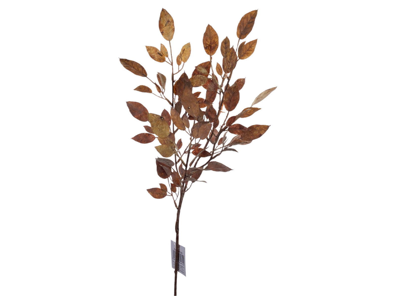 Rama Decorativa 71Cm Café