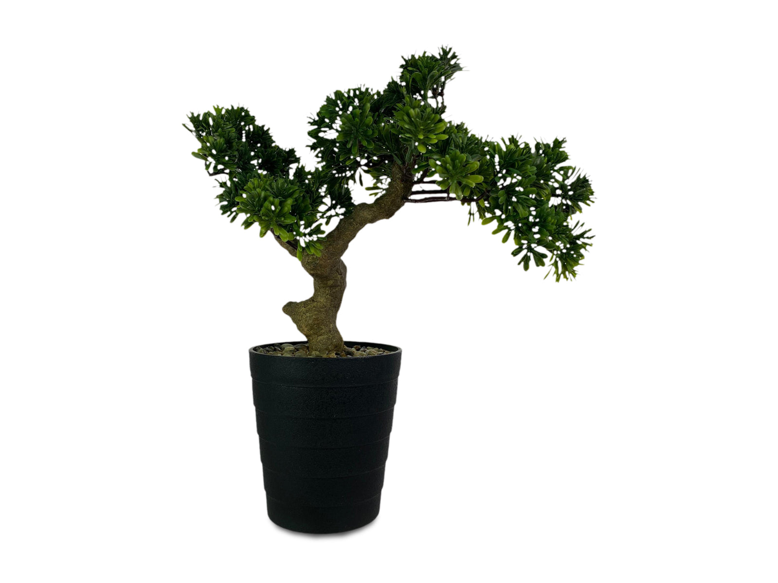 Planta Decorativa 40X38 Cm Verde