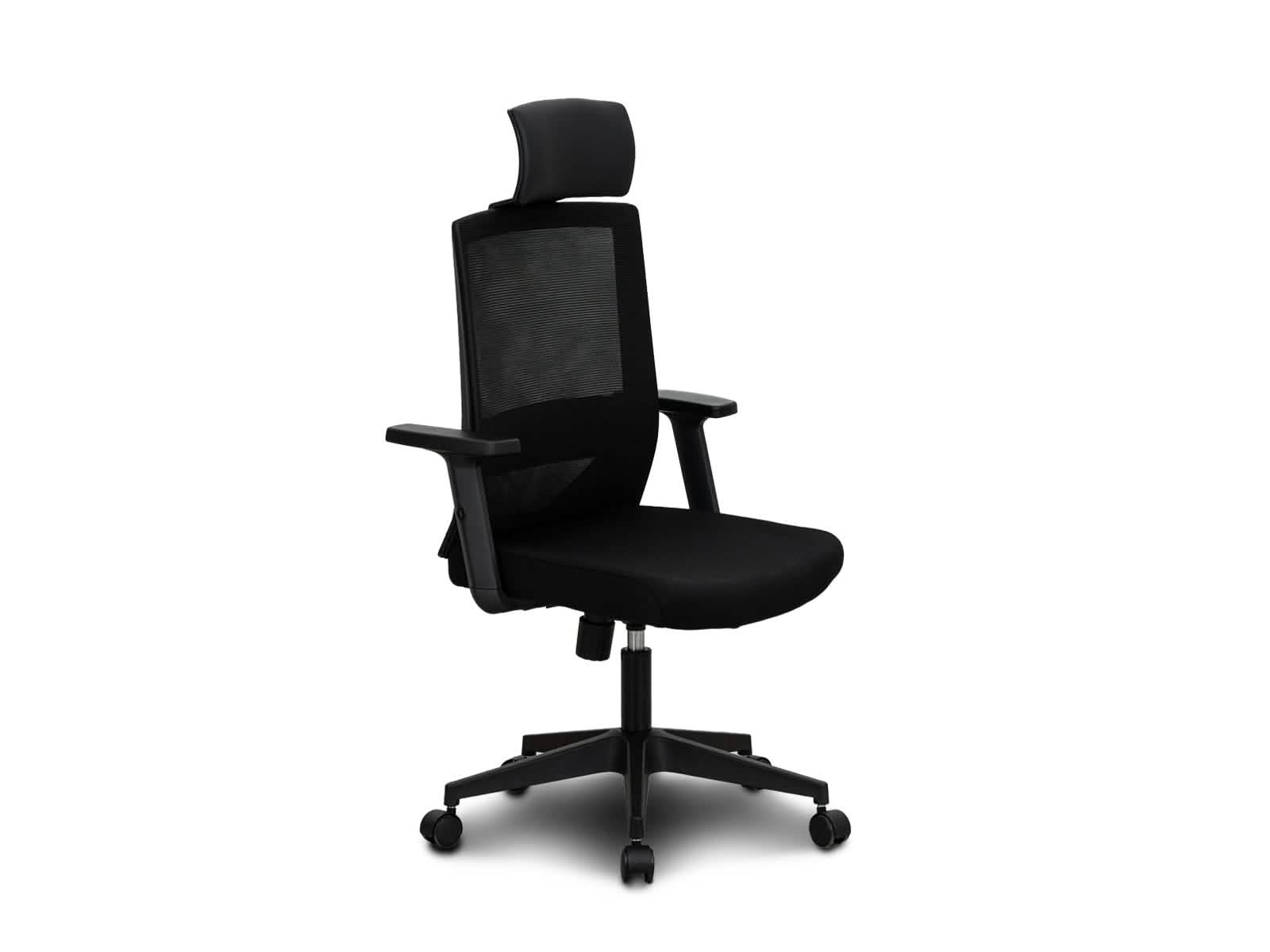 Silla Ejecutiva 245