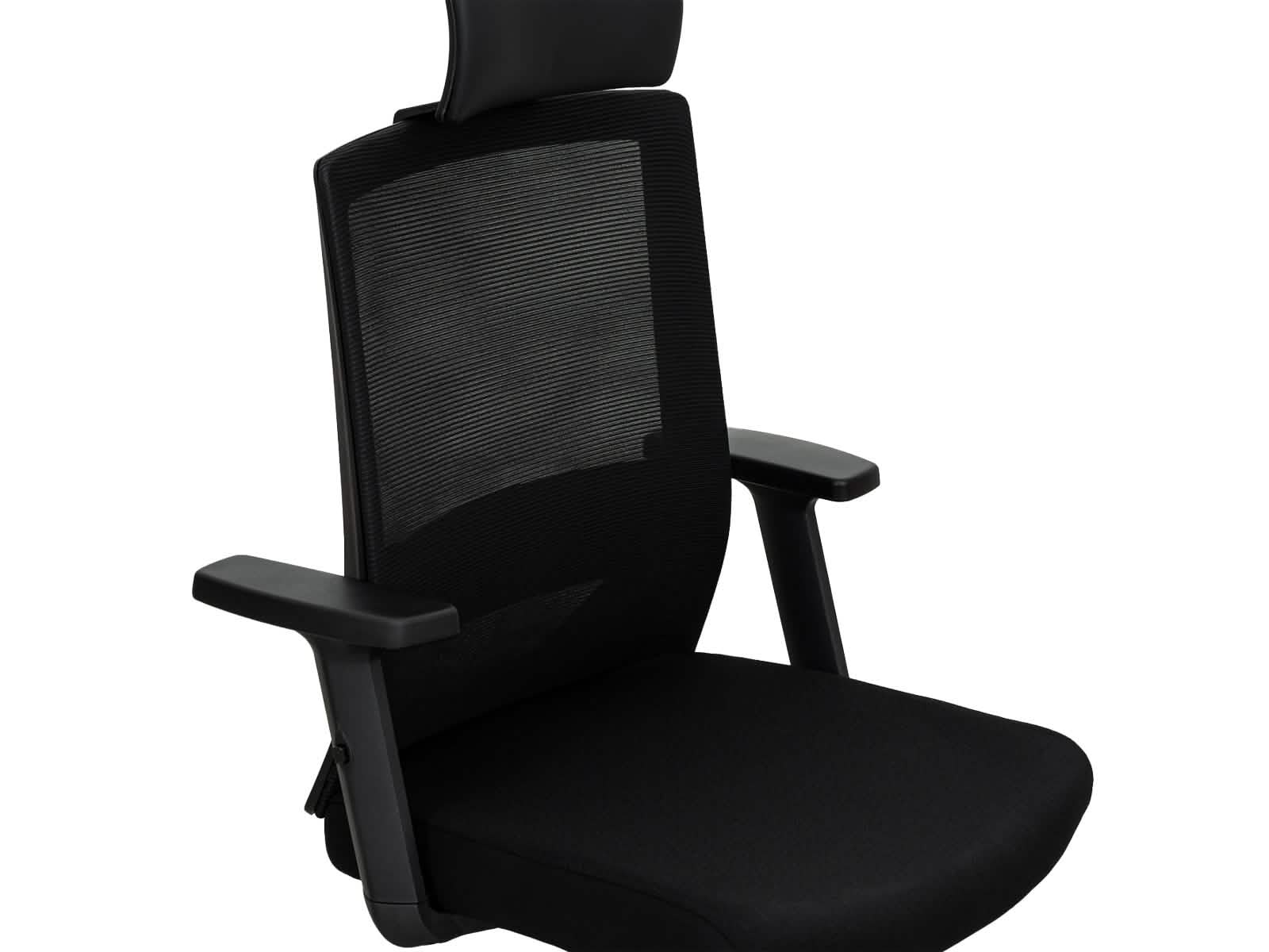 Silla Ejecutiva 245