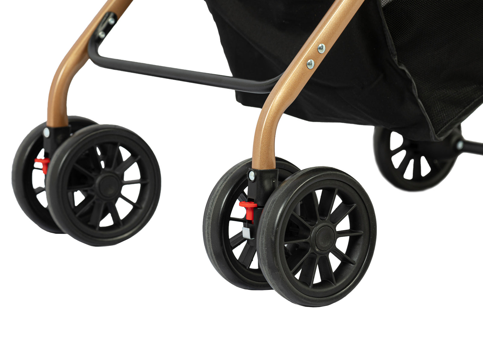 Coche Transportador de Mascota Havanés II