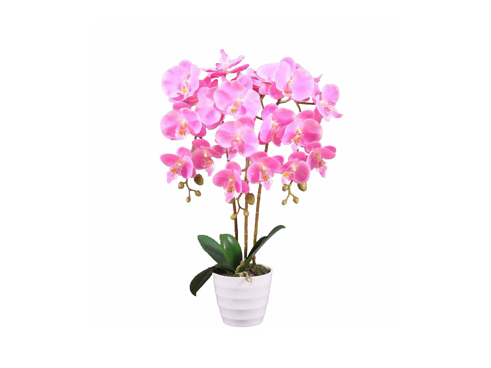 Arreglo Floral Orquidea Rosa 55cm