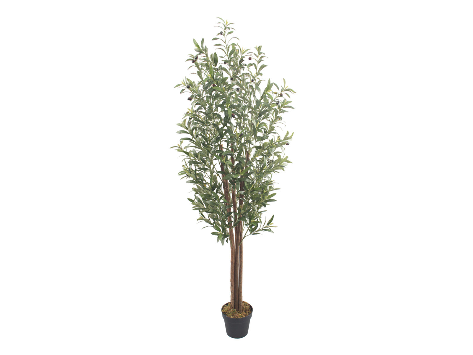 Planta Artificial Decorativa Olivo con Maceta 180cm