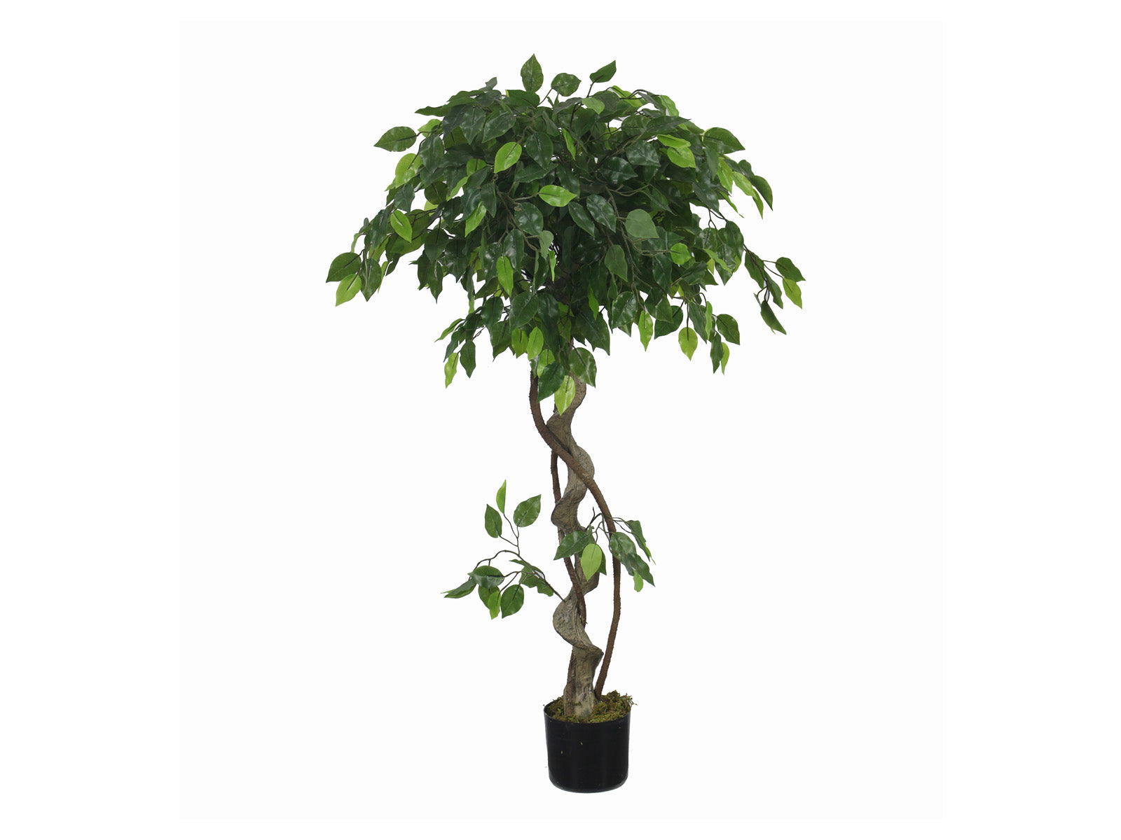 Planta Artificial Decorativa Ficus Trenzado con Maceta 120cm