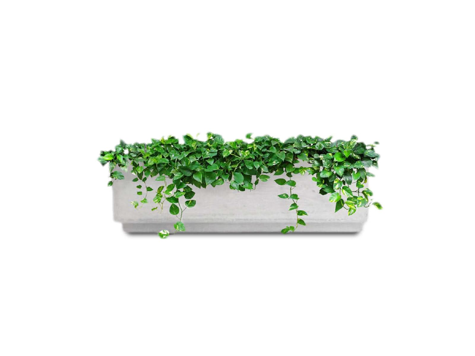 Maceta Jardinera Praga Blanca Rectangular 60x20cm Terra Verde