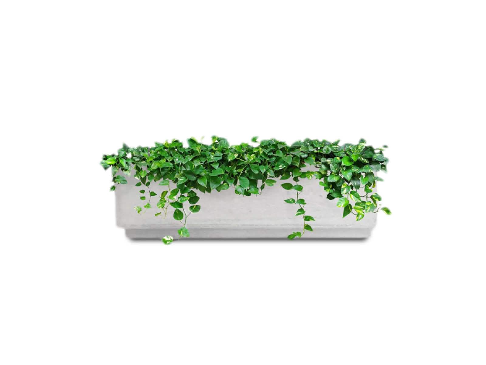 Maceta Jardinera Praga Blanca Rectangular 60x20cm Terra Verde