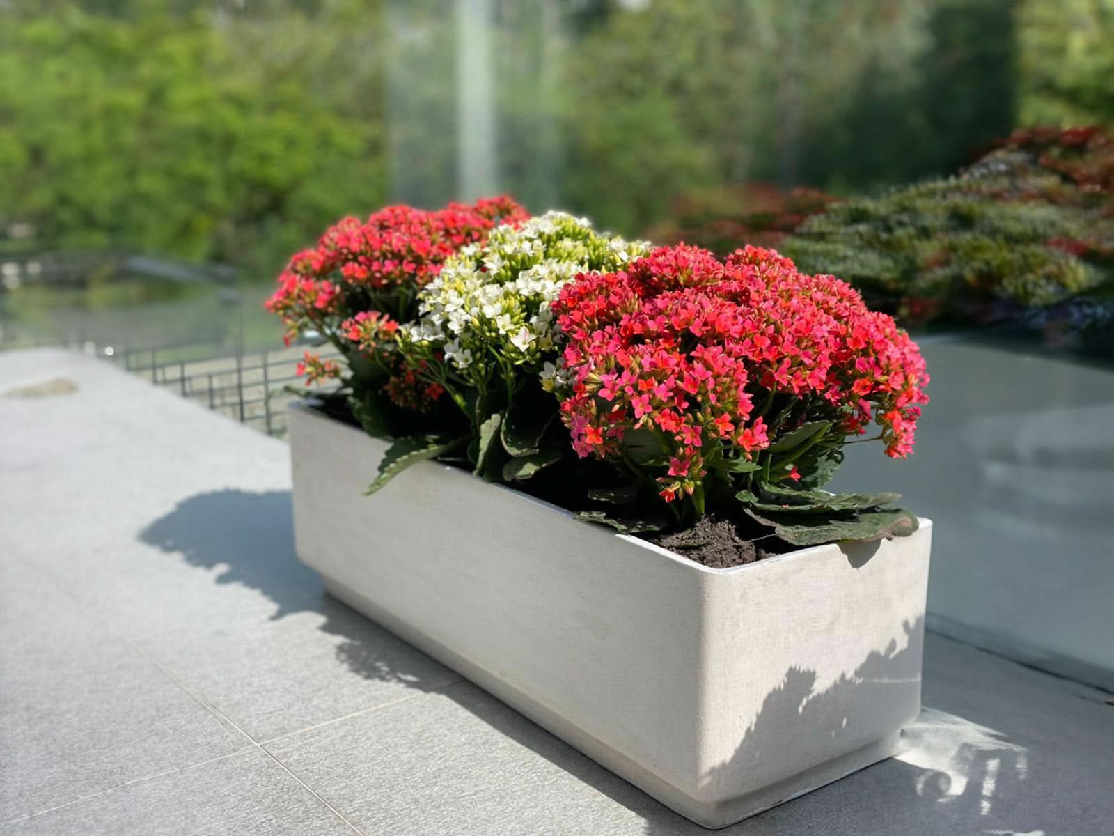 Maceta Jardinera Praga Blanca Rectangular 60x20cm Terra Verde