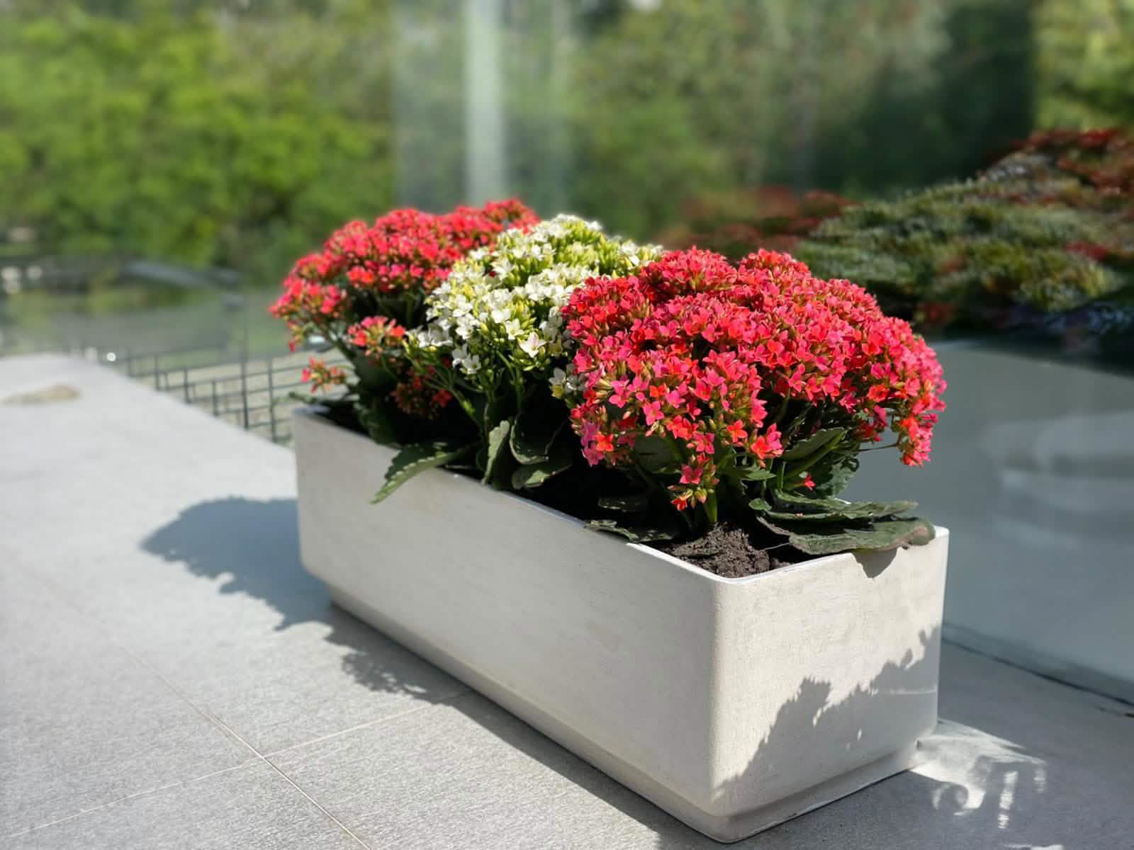 Maceta Jardinera Praga Blanca Rectangular 60x20cm Terra Verde