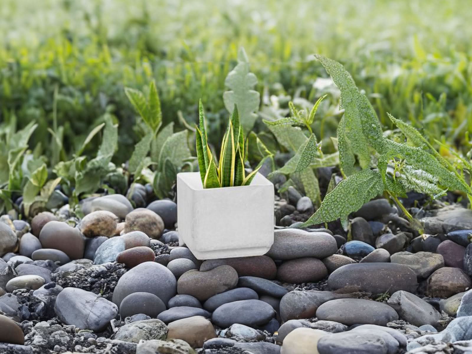 Maceta Milan Blanca Cubo 20x20cm