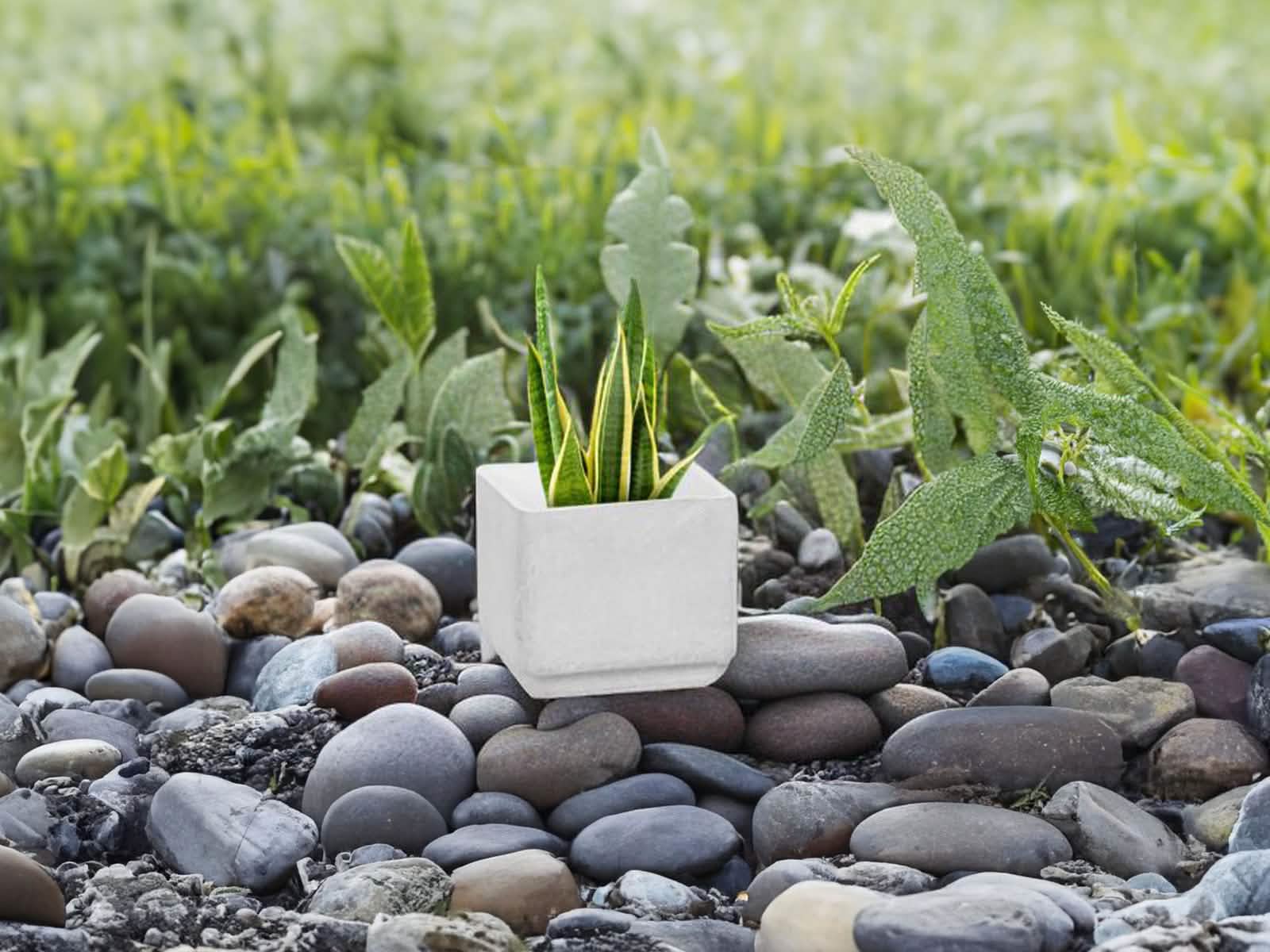 Maceta Milan Blanca Cubo 20x20cm