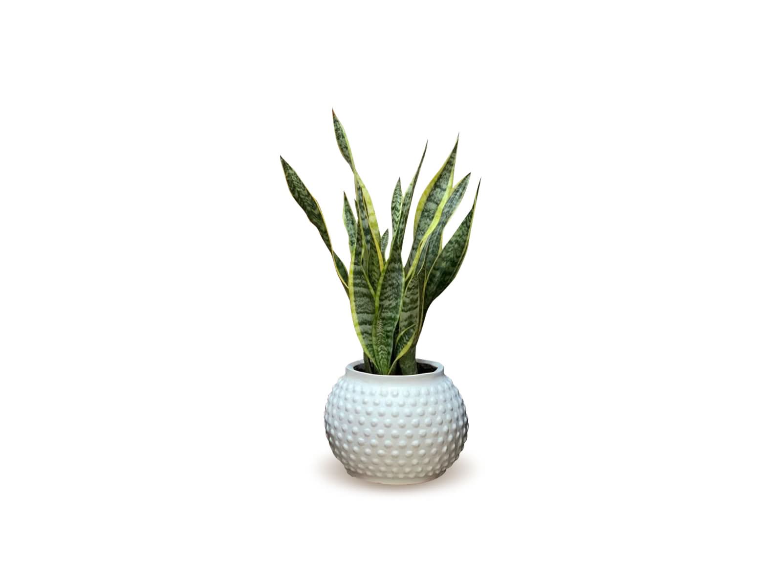 Maceta Mumbai Blanca Redonda 24x22cm Terra Verde