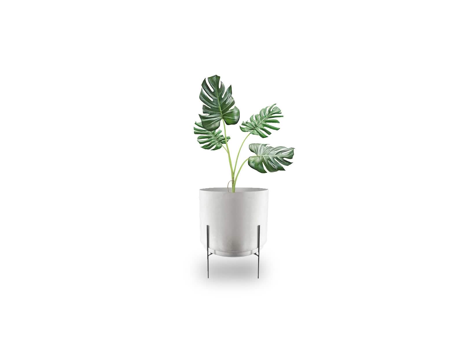 Maceta Santorini + Soporte 16cm Blanca Cilindro 40x47 Terra Verde