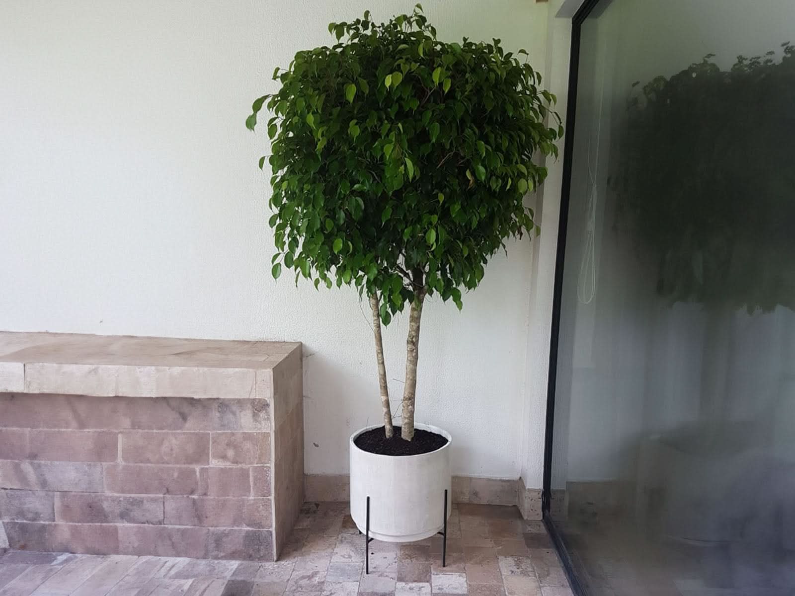 Maceta Santorini + Soporte 16cm Blanca Cilindro 40x47 Terra Verde