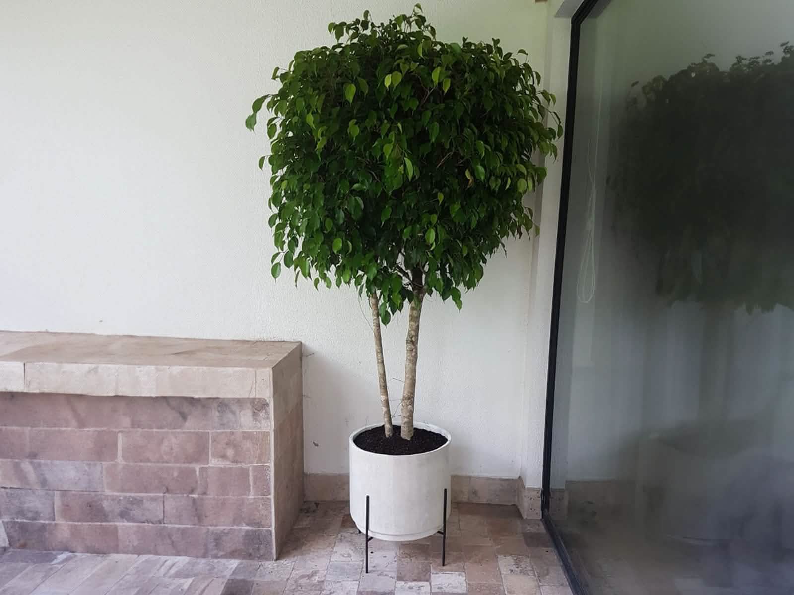 Maceta Santorini + Soporte 16cm Blanca Cilindro 40x47 Terra Verde