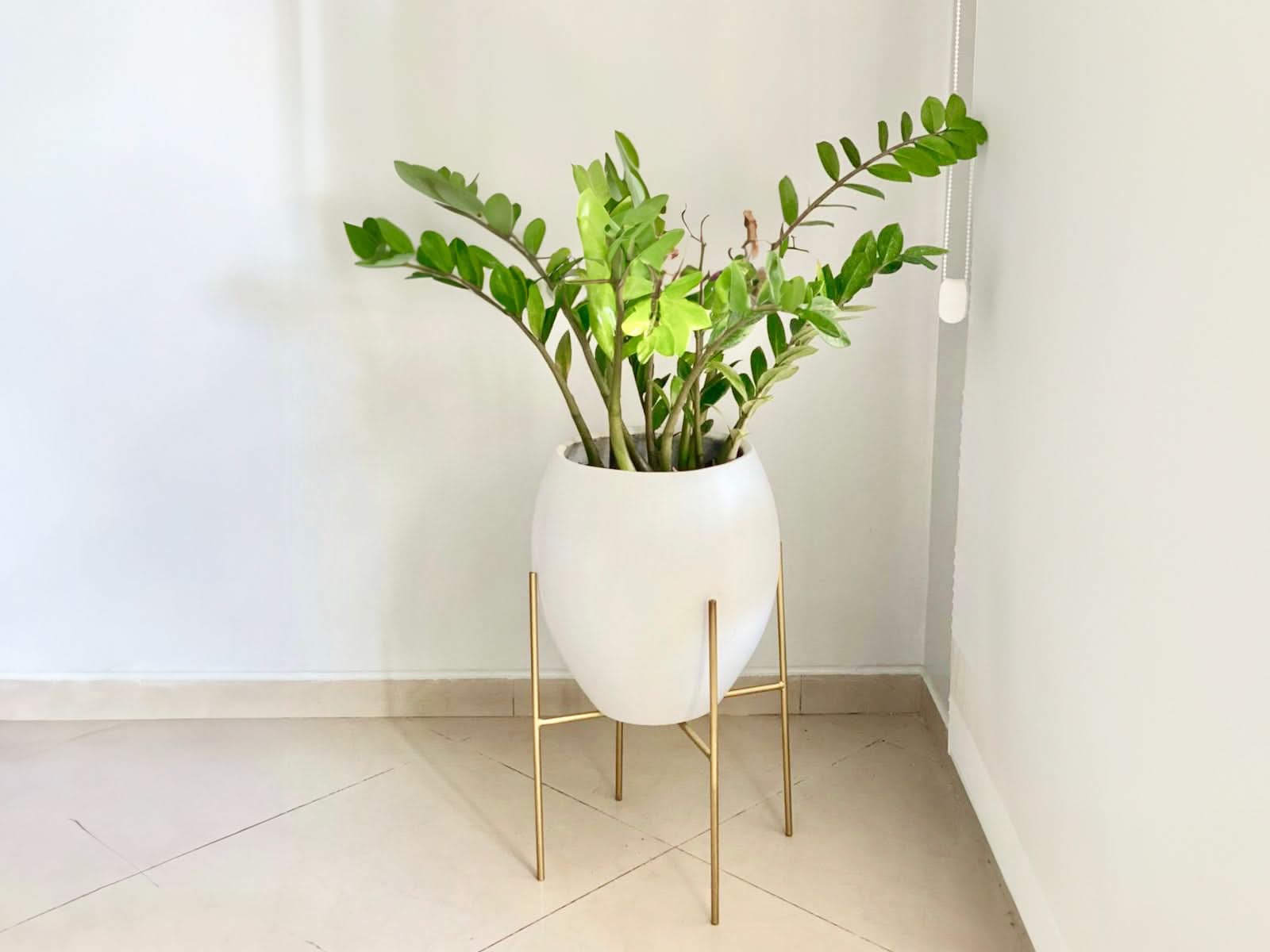Maceta Barcelona + Soporte en Cruz 22cm Blanca Ovalo 60X66CM