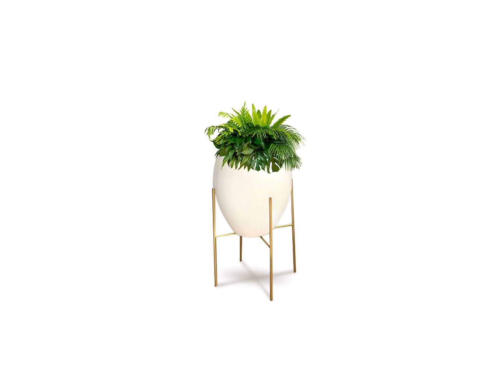 Maceta Barcelona + Soporte en Cruz 22cm Blanca Ovalo 60X66CM