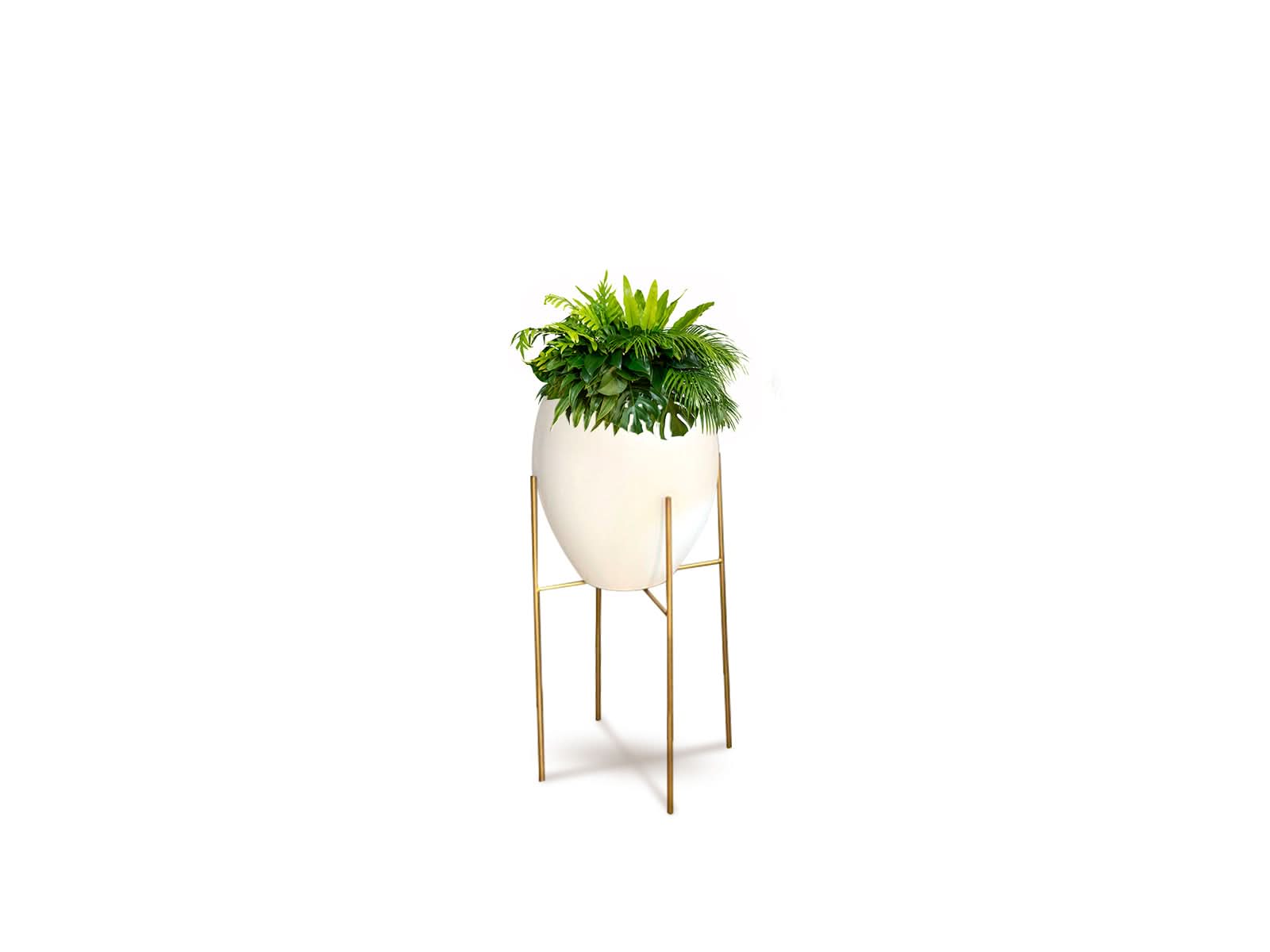 Maceta Barcelona + Soporte en Cruz Blanca Ovalo 76x66cm Terra Verde