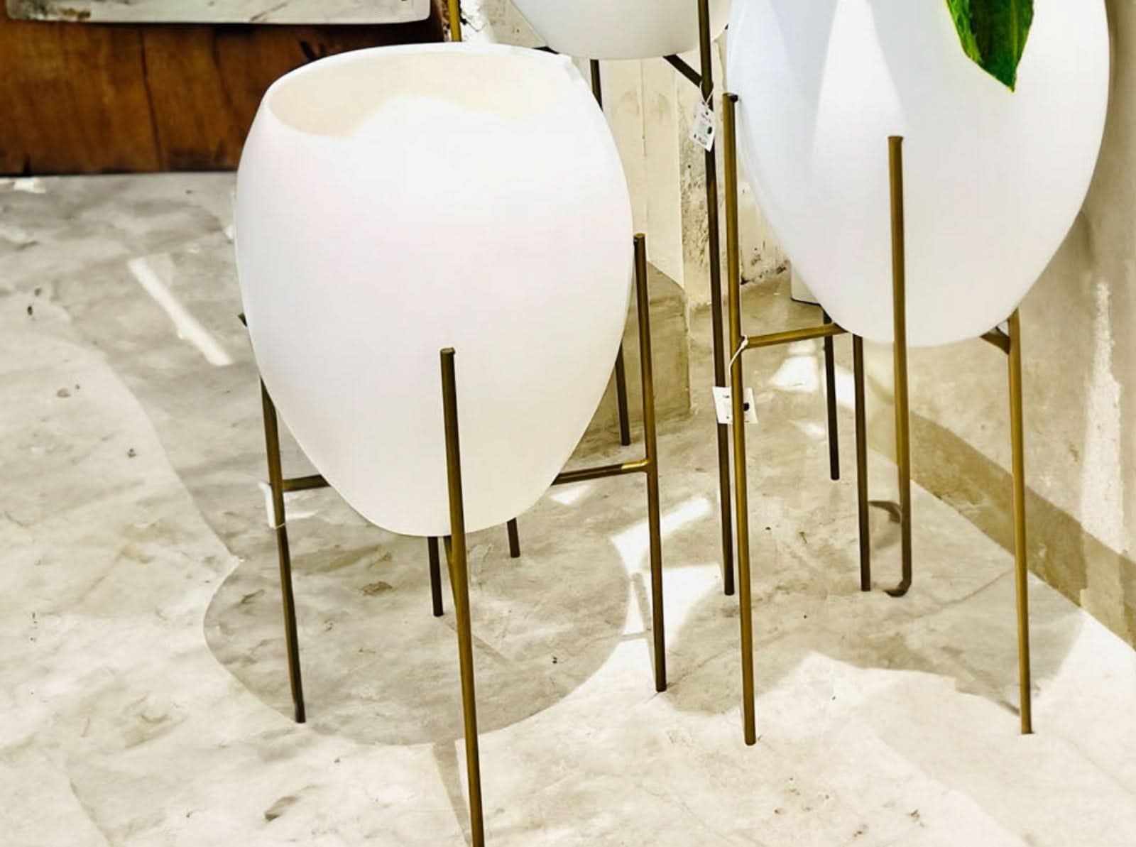 Maceta Barcelona + Soporte en Cruz Blanca Ovalo 76x66cm Terra Verde