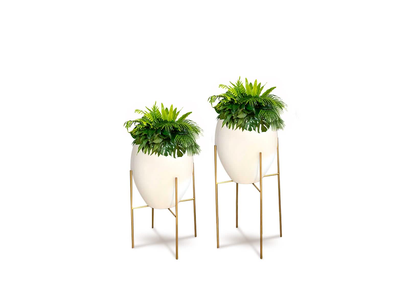 Set x 2 Macetas Barcelona + Soporte en Cruz Blanca Ovalo Terra Verde