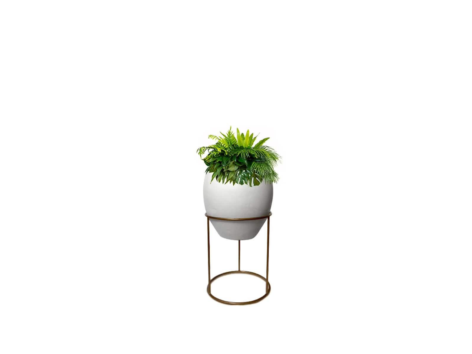 Maceta Barcelona + Soporte en Aro 40cm Blanca 63X66CM