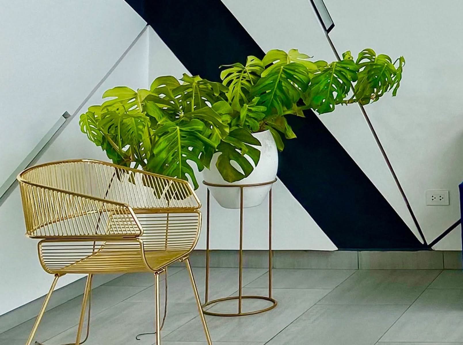 Maceta Barcelona + Soporte en Aro 60cm Blanca Ovalo 33x66cm