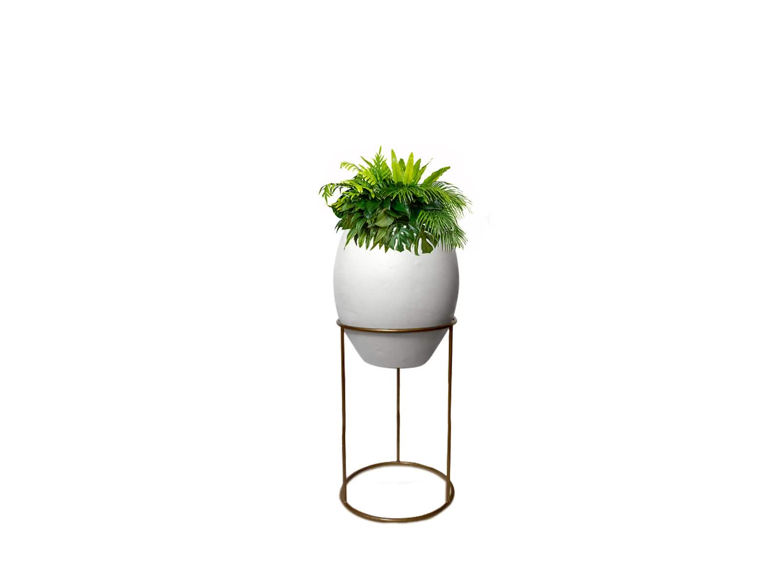 Maceta Barcelona + Soporte en Aro 60cm Blanca Ovalo 33x66cm