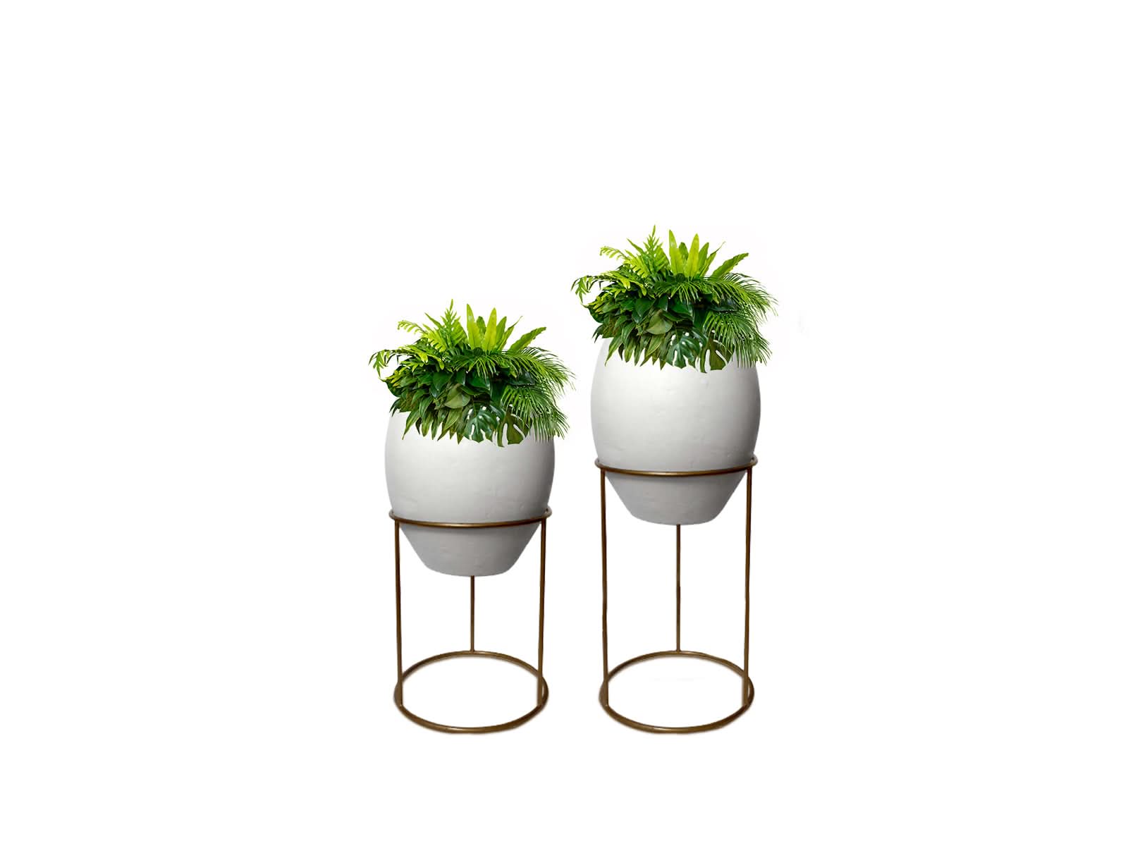 Set x2 Macetas Barcelona + Soporte en Aro 40 y 60 cm Blanca Ovalo 83x132cm