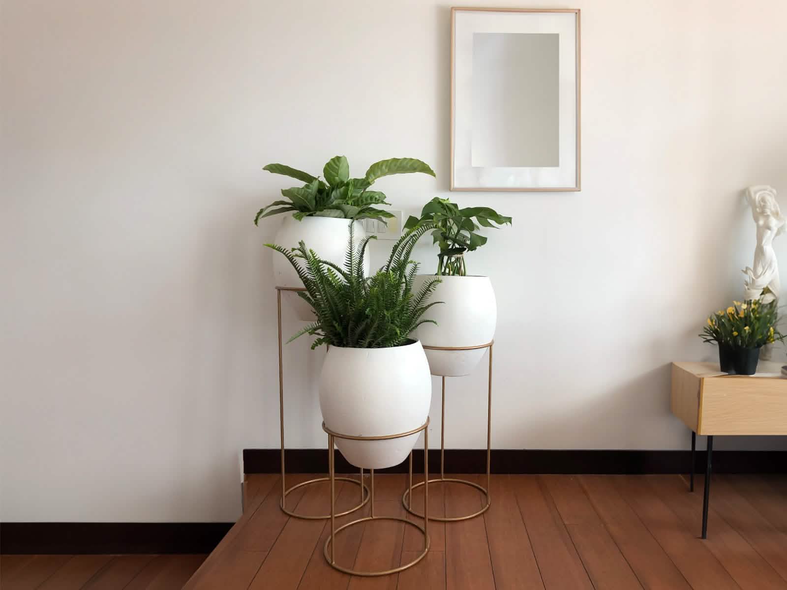 Set x2 Macetas Barcelona + Soporte en Aro 40 y 60 cm Blanca Ovalo 83x132cm