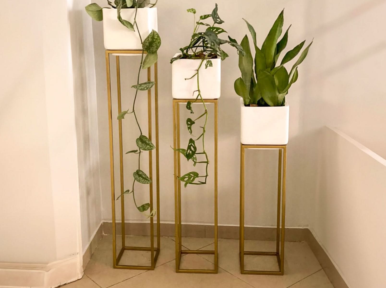 Maceta Milan + Soporte 80cm Blanca Cubo 100x40cm Terra Verde