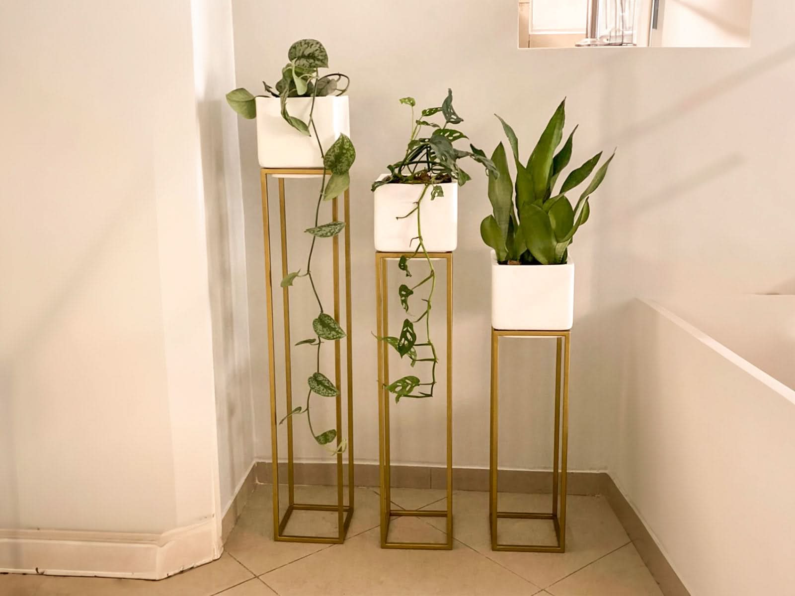 Maceta Milan + Soporte 100cm Blanca Cubo 120x40cm Terra Verde