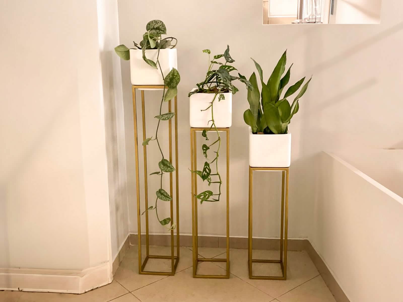 Maceta Milan + Soporte 100cm Blanca Cubo 120x40cm Terra Verde