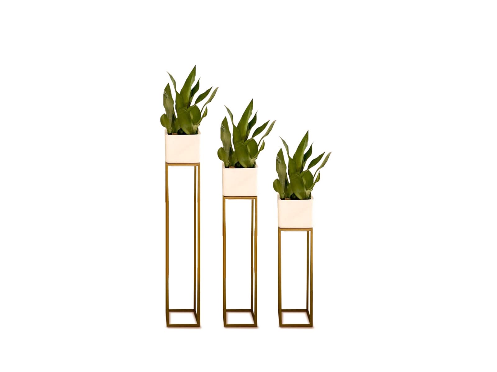 Set x 3 Macetas Milan + Soporte 60, 80 y 100cm Blanca Cubo 120x80Cm Terra Verde