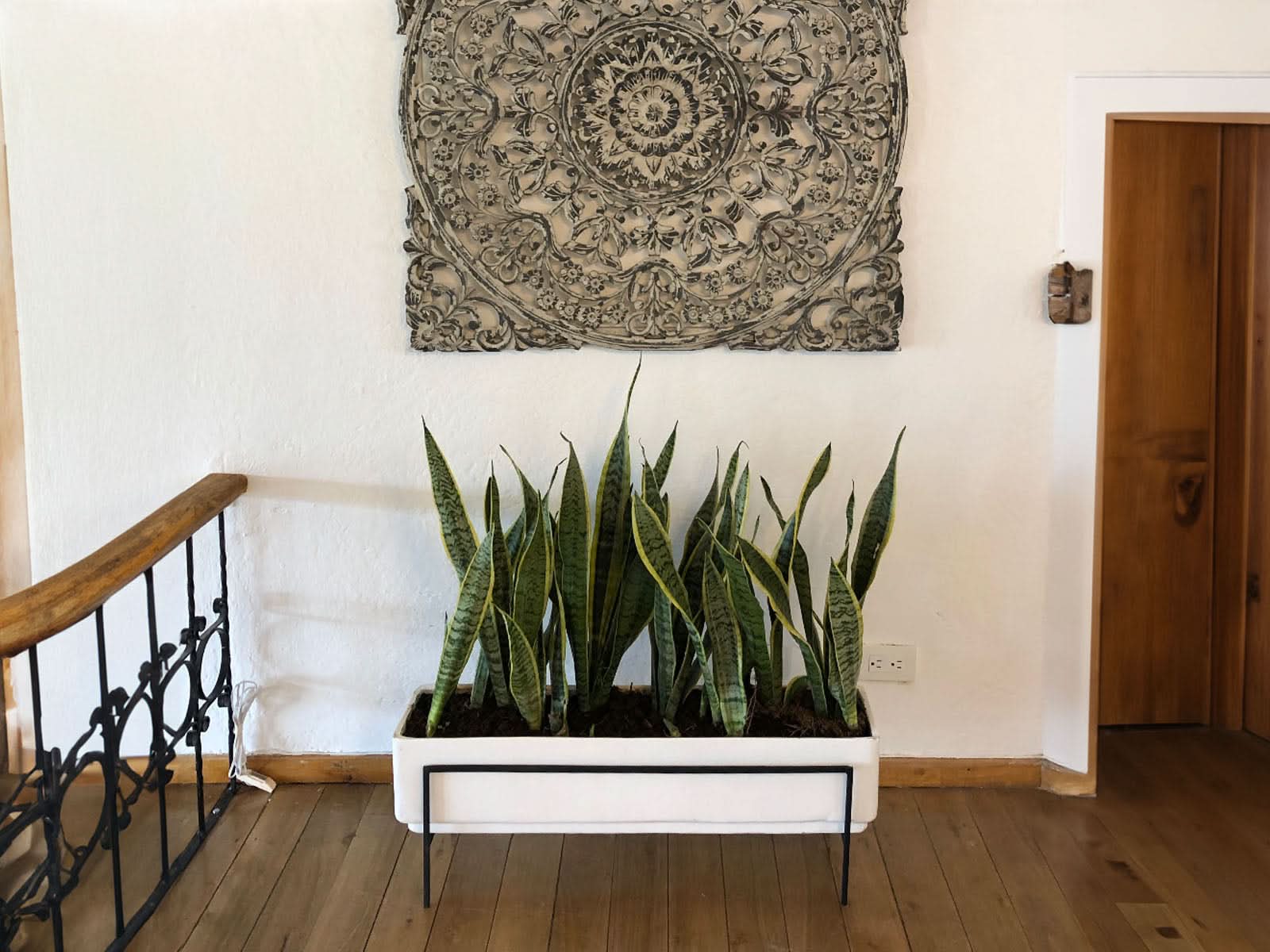 Maceta Jardinera Praga + Soporte Blanca Rectangular 60x20cm Terra Verde