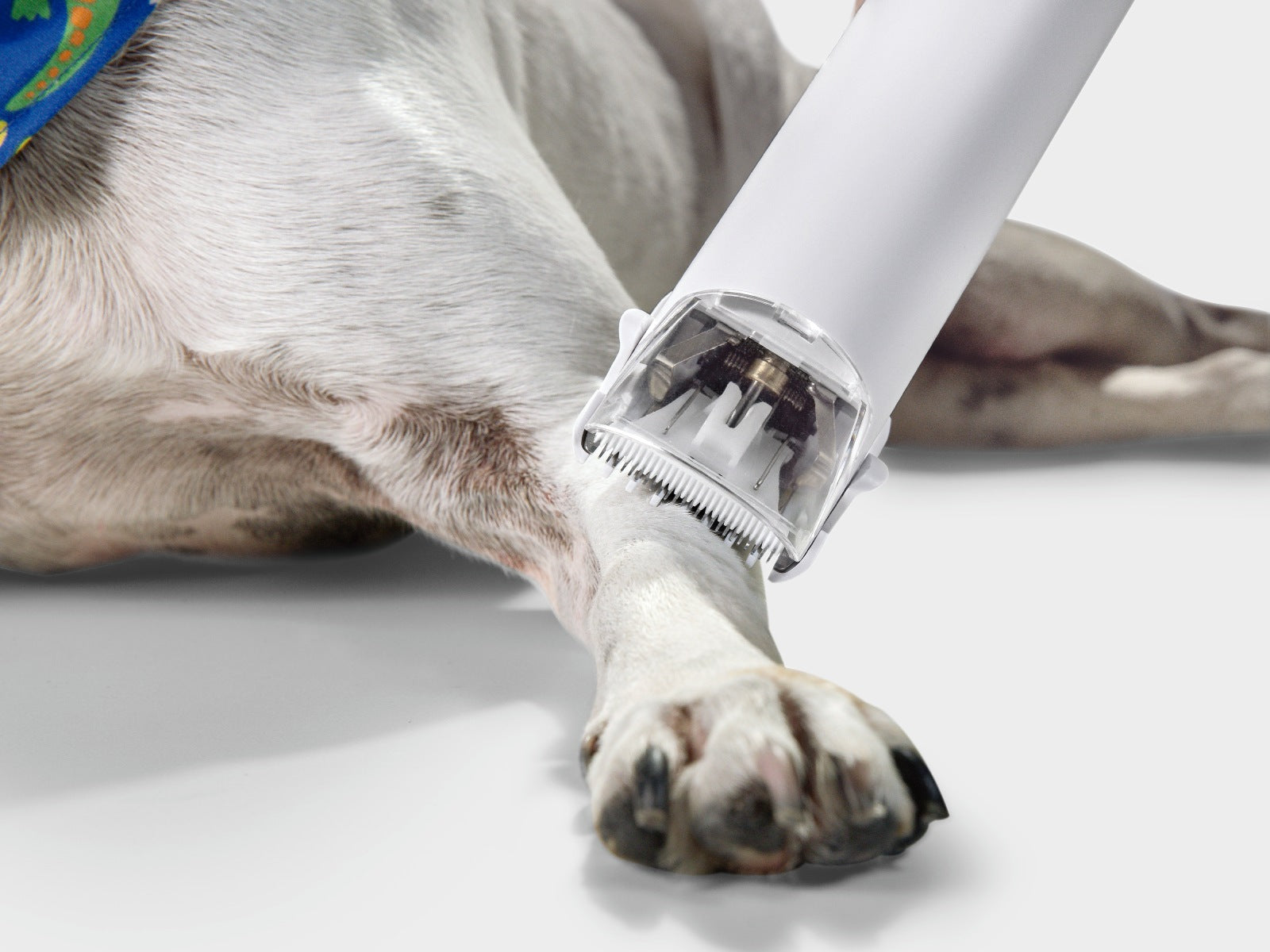 Aspiradora Grooming Mascotas Karcher