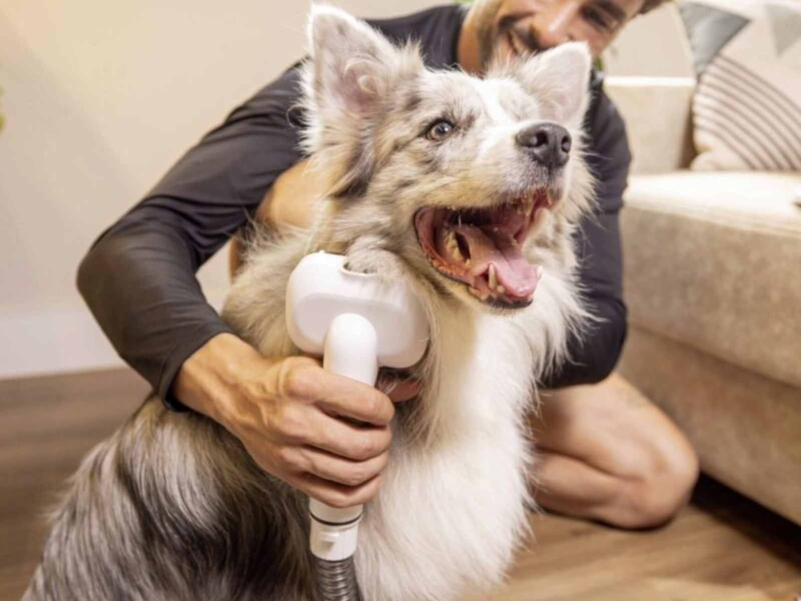Aspiradora Grooming Mascotas Karcher