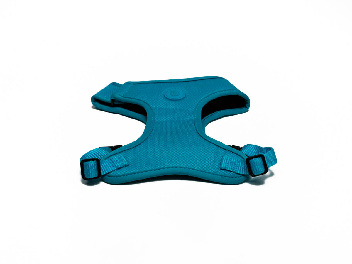 Arnes Pechera Ultimate Azul Pequeño